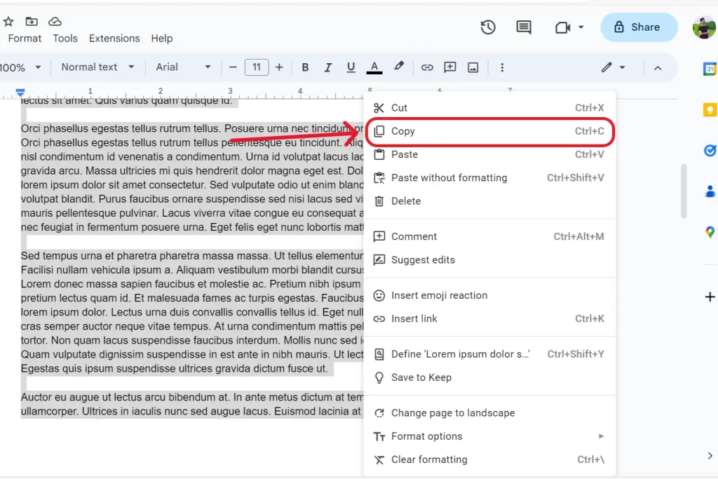 how to duplicate a page in google docs